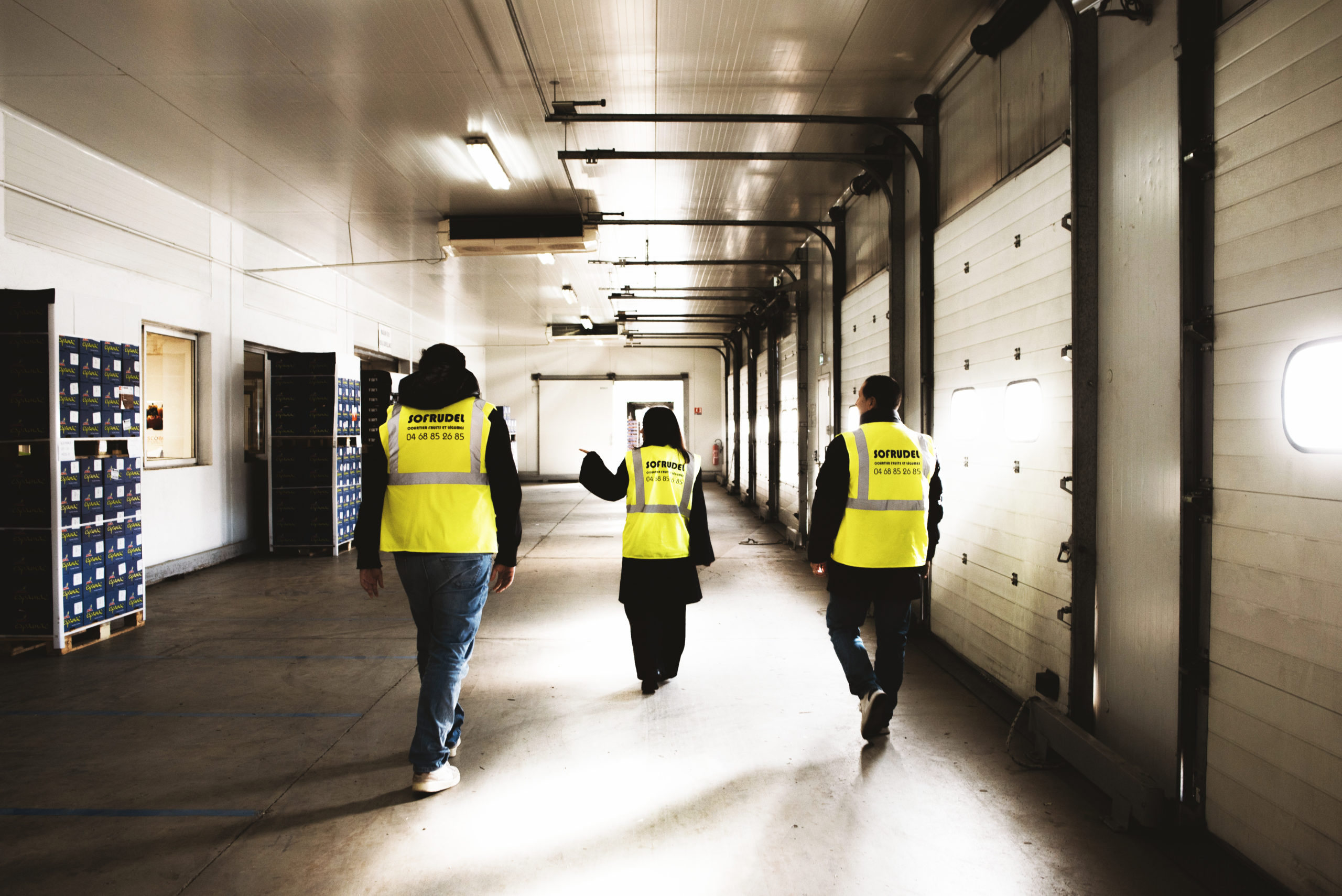 ACHAT, COURTAGE, FRUITS ET LEGUMES PERPIGNAN